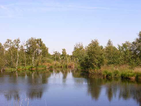 moor bei hagen im bremischen