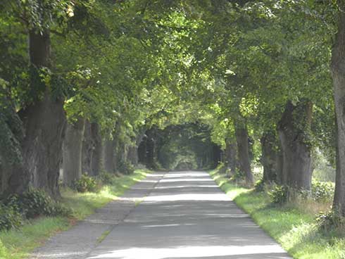 albstedt allee