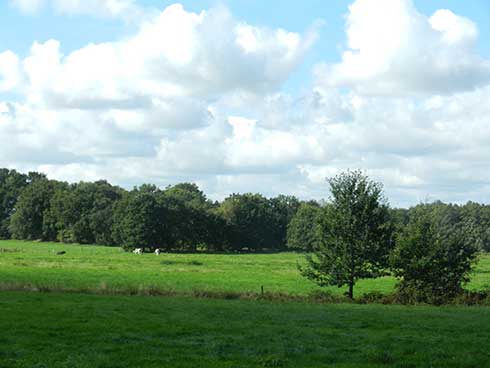 hagen im bremischen wiese huegel